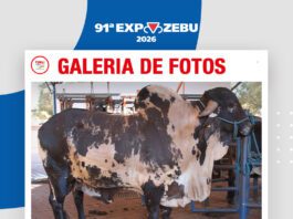 📷Galería de fotos | ALTA centro de colecta de semen y embriones