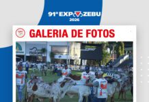 📷Galería de fotos | Connect Day y Dia de Campo