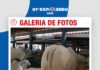 📷Galería de fotos | Daniel Bizonotto De Freitas – Gerente de Cabaña Sausalito en Uberaba – Brasil