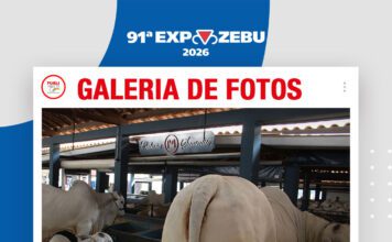 📷Galería de fotos | Daniel Bizonotto De Freitas – Gerente de Cabaña Sausalito en Uberaba – Brasil