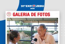 📷Galería de fotos | Hacienda Braúnas