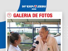 📷Galería de fotos | Hacienda Braúnas