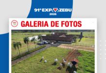 📷Galería de fotos | Hacienda Mata Velha