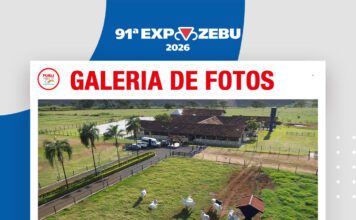 📷Galería de fotos | Hacienda Mata Velha