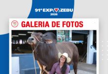 📷Galería de fotos | Hacienda Sindi Da Porongaba