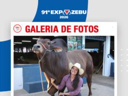 📷Galería de fotos | Hacienda Sindi Da Porongaba