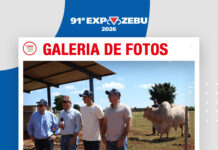 📷Galería de fotos | Poker FIV de Moxos