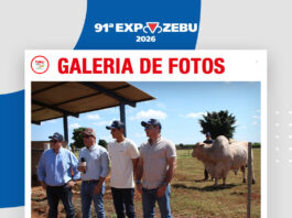 📷Galería de fotos | Poker FIV de Moxos