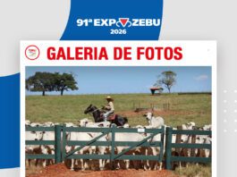 📷Galería de fotos | Visita a Rancho da Matinha