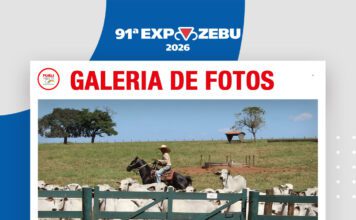 📷Galería de fotos | Visita a Rancho da Matinha