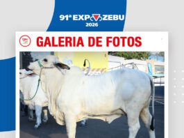 📷Galería de fotos | Raza Tabapuã