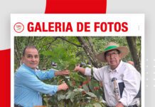 📷Galería de fotos | Lanzamiento de la cosecha del café: Variedad Cepac 3-catuai rojo