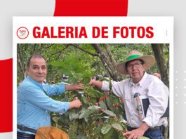 📷Galería de fotos | Lanzamiento de la cosecha del café: Variedad Cepac 3-catuai rojo