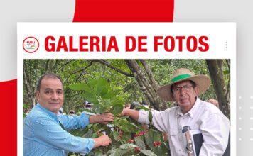 📷Galería de fotos | Lanzamiento de la cosecha del café: Variedad Cepac 3-catuai rojo