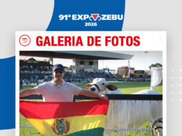 📷Galería de fotos | Sausalito en pistas de la Expozebu