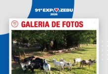 📷Galería de fotos | Hacienda Terras do Oriente