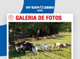 📷Galería de fotos | Hacienda Terras do Oriente