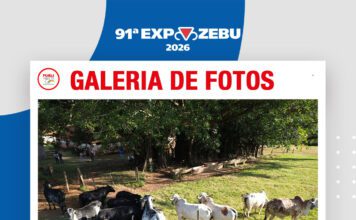 📷Galería de fotos | Hacienda Terras do Oriente