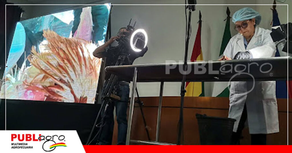 Foto: Publiagro