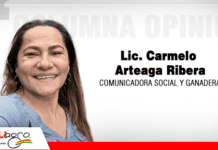 Columna de Opinión: “Carreteras que culpan al ganado y decisiones que olvidan al productor” por: Lic. Lavive Yáñez Simon