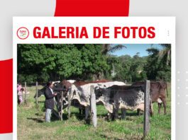 📷Galería de fotos | Día de Campo en la lechería Tulipanes