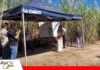 Del análisis al resultado: experiencia en campo apuesta por una caña más eficiente Tercera parada muestran los resultados del manejo de suelo/ Foto: Publiagro