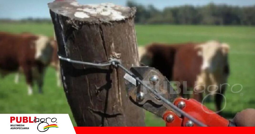 FOTO NOTAS WEB (10)