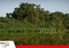 Sitios Ramsar en Bolivia: humedales de alto valor ecológico en riesgo Bolivia y sus 11 Sitios Ramsar/ Foto: Internet