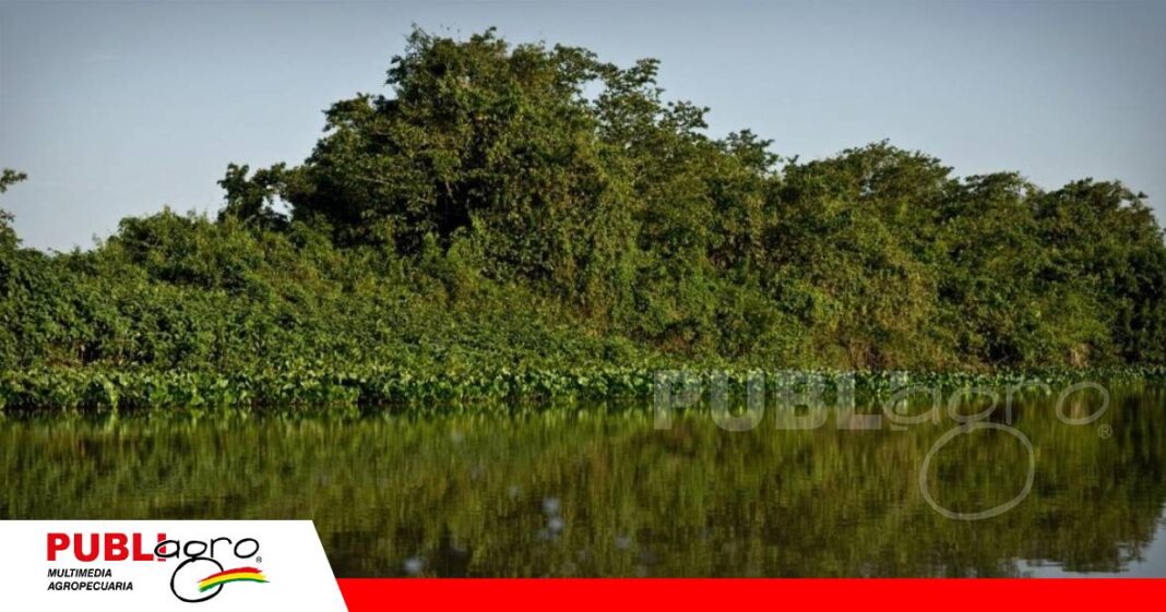 Bolivia y sus 11 Sitios Ramsar/ Foto: Internet