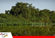 Sitios Ramsar en Bolivia: humedales de alto valor ecológico en riesgo Bolivia y sus 11 Sitios Ramsar/ Foto: Internet