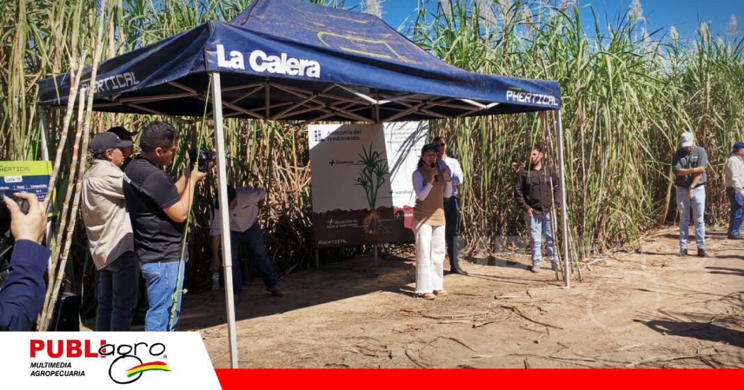 Tercera parada muestran los resultados del manejo de suelo/ Foto: Publiagro