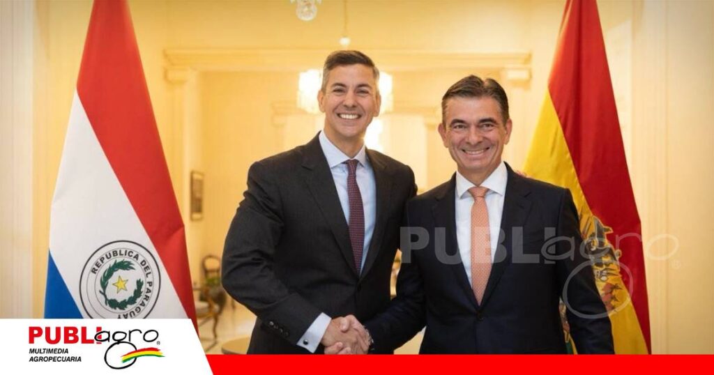 Los presidentes se reunieron durante el encuentro del Mercosur/ Foto: Internet