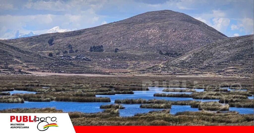 Riqueza natural con desafíos de conservación/ Foto: Internet