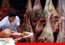 Ganaderos proyectan normalizar el abastecimiento de carne en el corto plazo Ganaderos esperan normalizar la cadena de suministro y estabilizar precios/ Foto: Internet