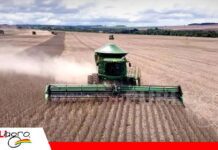 Productores piden agilizar importación de combustibles Productores piden agilizar importación de combustibles/ Foto: Internet