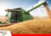 Crisis de diésel afecta planificación agrícola en el país Productores advierten impacto en la seguridad alimentaria/ Foto: Internet