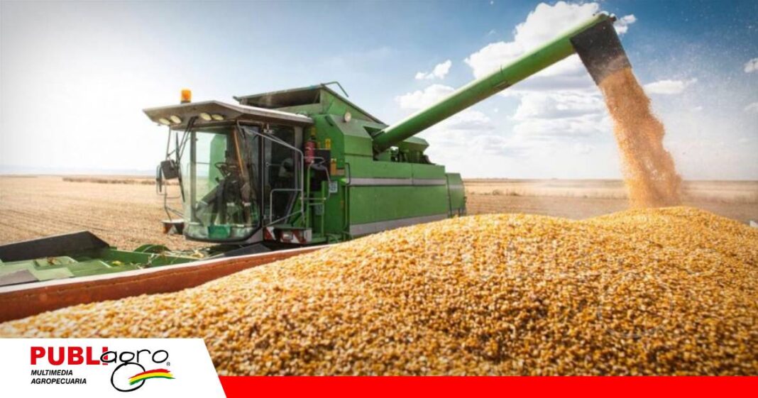 Productores advierten impacto en la seguridad alimentaria/ Foto: Internet