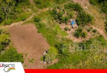 Entre avasallamientos y tierras fiscales: el reclamo por reglas claras