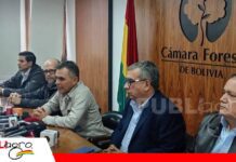 Cámara Forestal rechaza vincular la industria con cargamentos de droga detectados en madera exportada