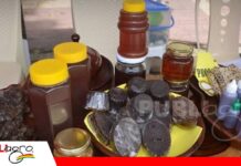 Más de 500 familias apicultoras participarán en feria Apícola y Meliponícola