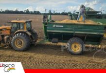 ANAPO pide certezas sobre el abastecimiento de diésel La incertidumbre por el diésel preocupa al sector productivo/ Foto: Internet