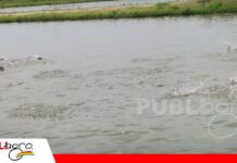 Pozas más profundas ayudan a proteger a los peces del invierno