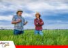 Comisión de Diputados aprueba tres créditos por más de $us 564 millones para agricultura y protección social