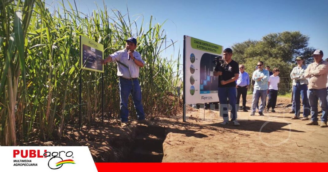 En una calita demostraron contenido de nutrientes en el suelo/ Foto: Publiagro