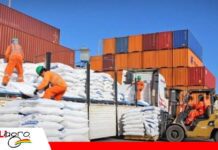 Exportadores denuncian daños millonarios y piden cárcel para responsables de bloqueos