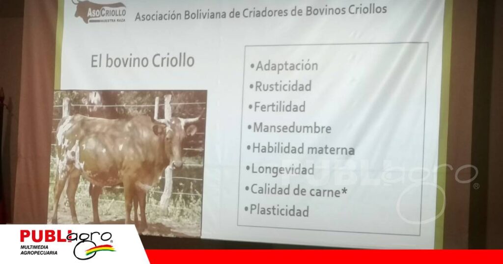FOTO NOTAS WEB (62)