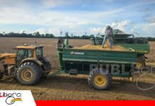 Sector agrícola requiere 90 millones de litros para sostener campaña En dos meses inicia la cosecha de sorgo/ Foto: Internet