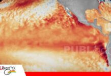 Los científicos dicen que el fenómeno de El Niño ya empezó y advierten de los efectos climáticos extremos que puede traer