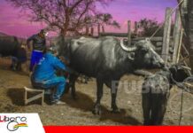 San Miguelito: un refugio de producción, naturaleza y vida en equilibrio con la biodiversidad