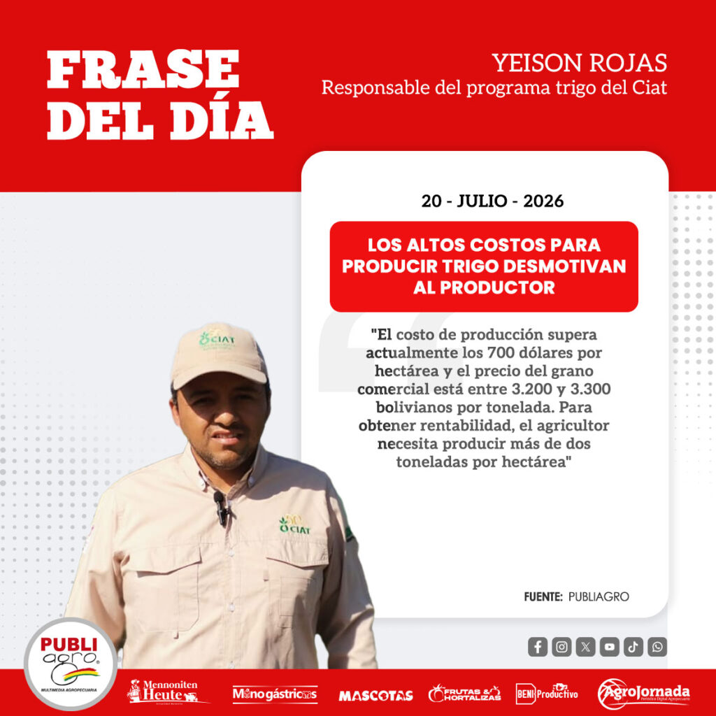 200726-FRASE-DEL-DIA